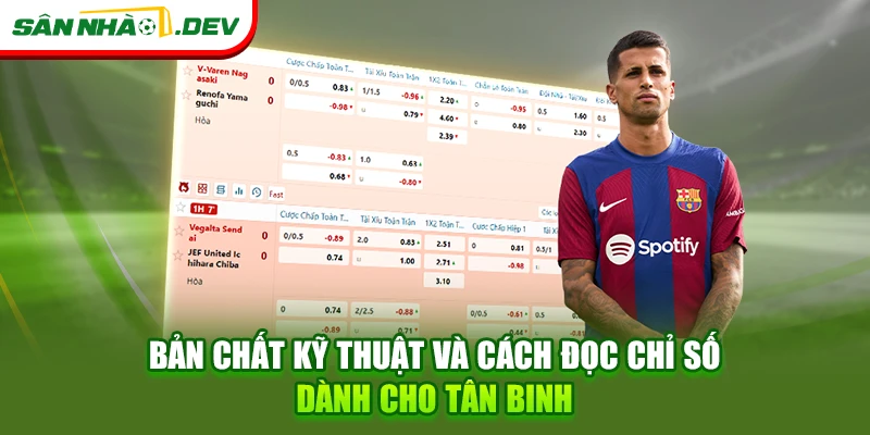 Bản chất kỹ thuật và cách đọc chỉ số dành cho tân binh