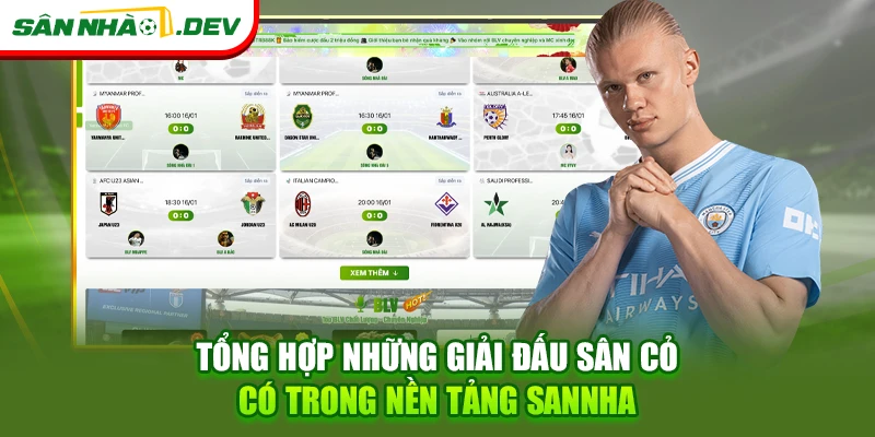 Tổng hợp những giải đấu sân cỏ có trong nền tảng Sannha