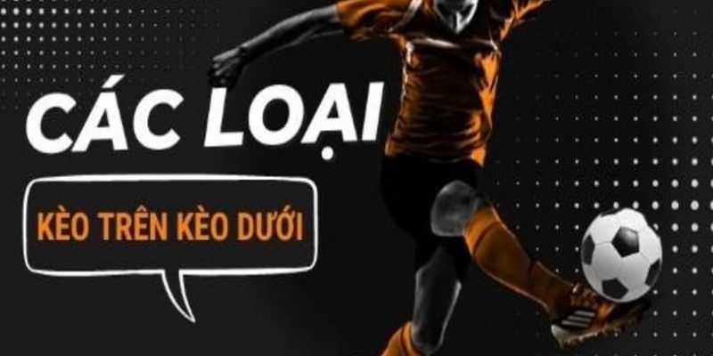 Các cửa cược đang được người chơi lựa chọn nhiều nhất