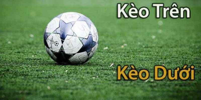 Chiến thuật tối ưu hóa cơ hội chiến thắng cho hội viên