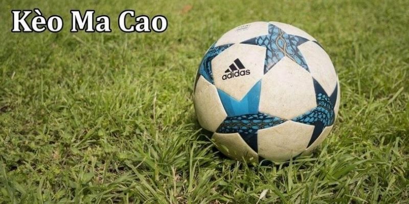 Giải mã định nghĩa chi tiết về tỷ lệ cược Macau là gì