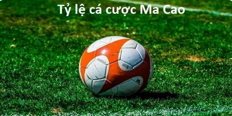 Tổng hợp các dạng bảng cược thịnh hành nhất thị trường hiện nay